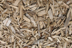 biomass boilers Whitegate